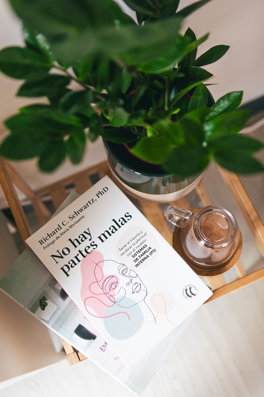Libros de psicología y planta en la consulta de Lucía Pirla